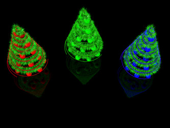 Similar image 314851