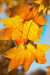 Similar image 314888