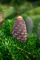 Similar image 314912