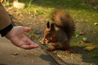 Similar image 314919