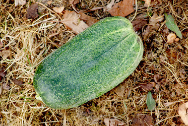 Similar image 314937