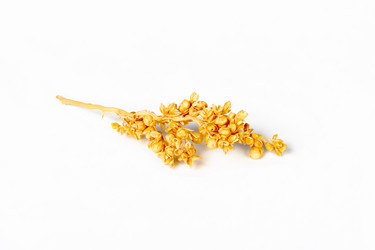 Similar image 314940