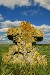 Similar image 314942