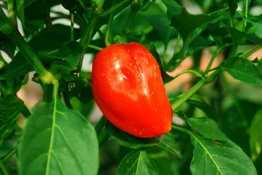 Similar image 314947