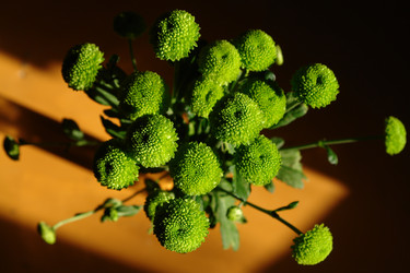 Similar image 314949