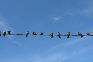 Similar image 314950