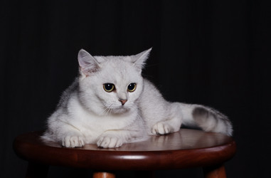 Similar image 314956