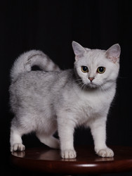 Similar image 314958