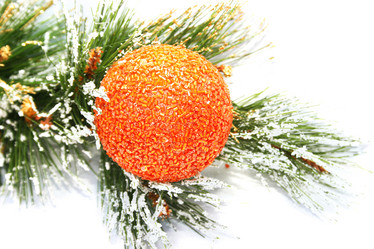 Similar image 314973