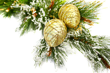 Similar image 314975