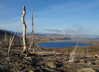 Similar image 314981