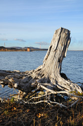 Similar image 314982