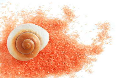 Similar image 314995