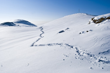 Similar image 315008