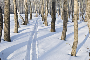 Similar image 315012