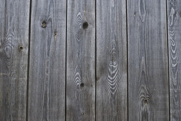 Similar image 315016