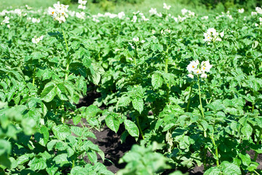 Similar image 315037