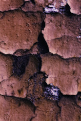 Similar image 315051