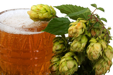 Similar image 315063