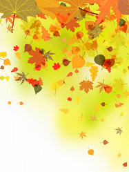 Similar image 315127