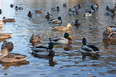 Similar image 315161