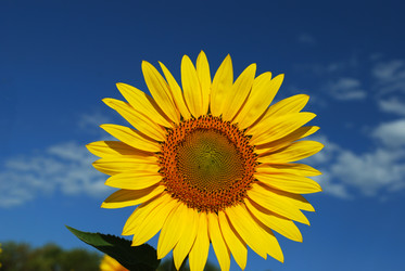 Similar image 315200