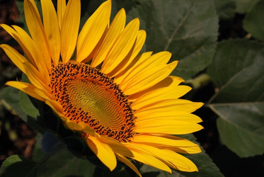 Similar image 315201