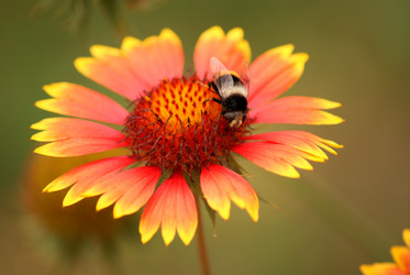 Similar image 315243