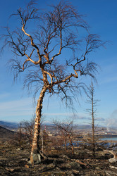 Similar image 315254