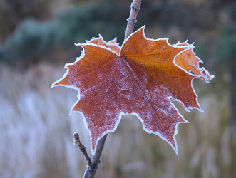 Similar image 315277