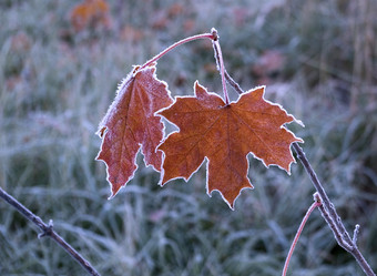 Similar image 315278