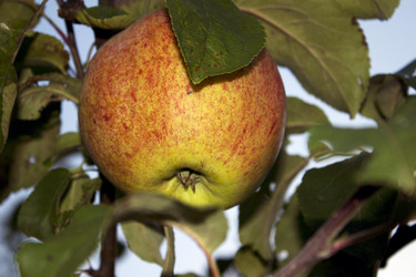 Similar image 315325