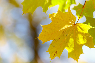 Similar image 315345