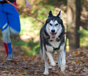 Similar image 315421