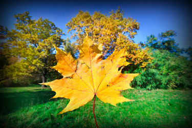 Similar image 315430