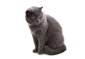 Similar image 315445