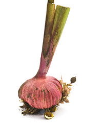 Similar image 315454