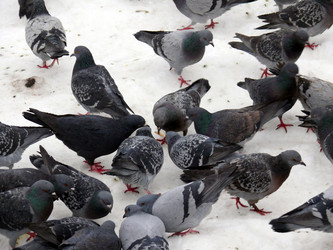 Similar image 315529