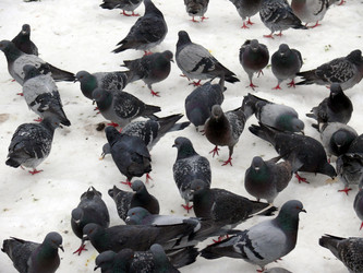 Similar image 315530