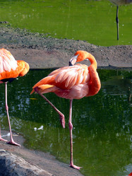 Similar image 315537