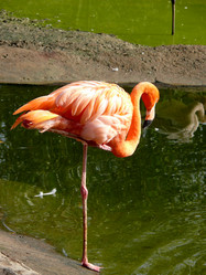 Similar image 315540