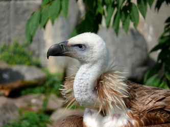 Similar image 315541