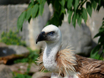 Similar image 315542