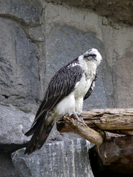 Similar image 315545