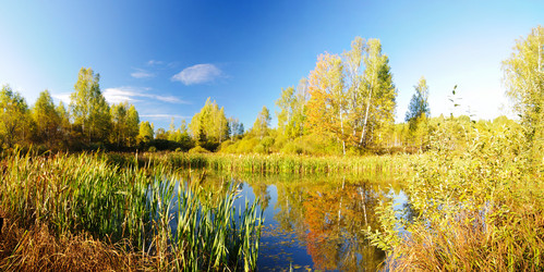 Similar image 315556