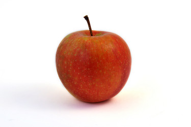 Similar image 315564