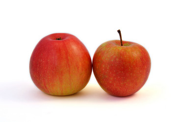 Similar image 315565