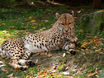 Similar image 315605