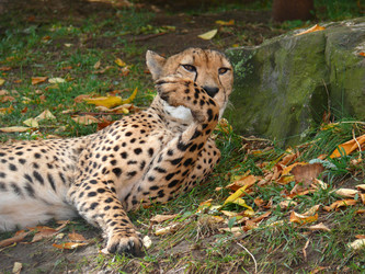 Similar image 315606