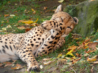 Similar image 315608